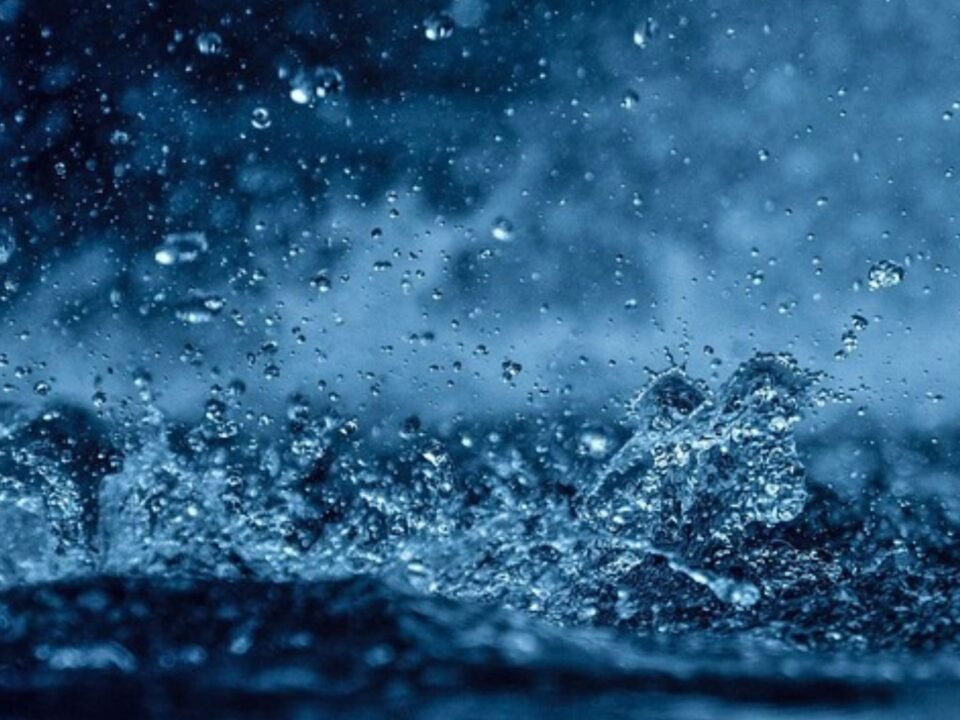 findy-image -droplets