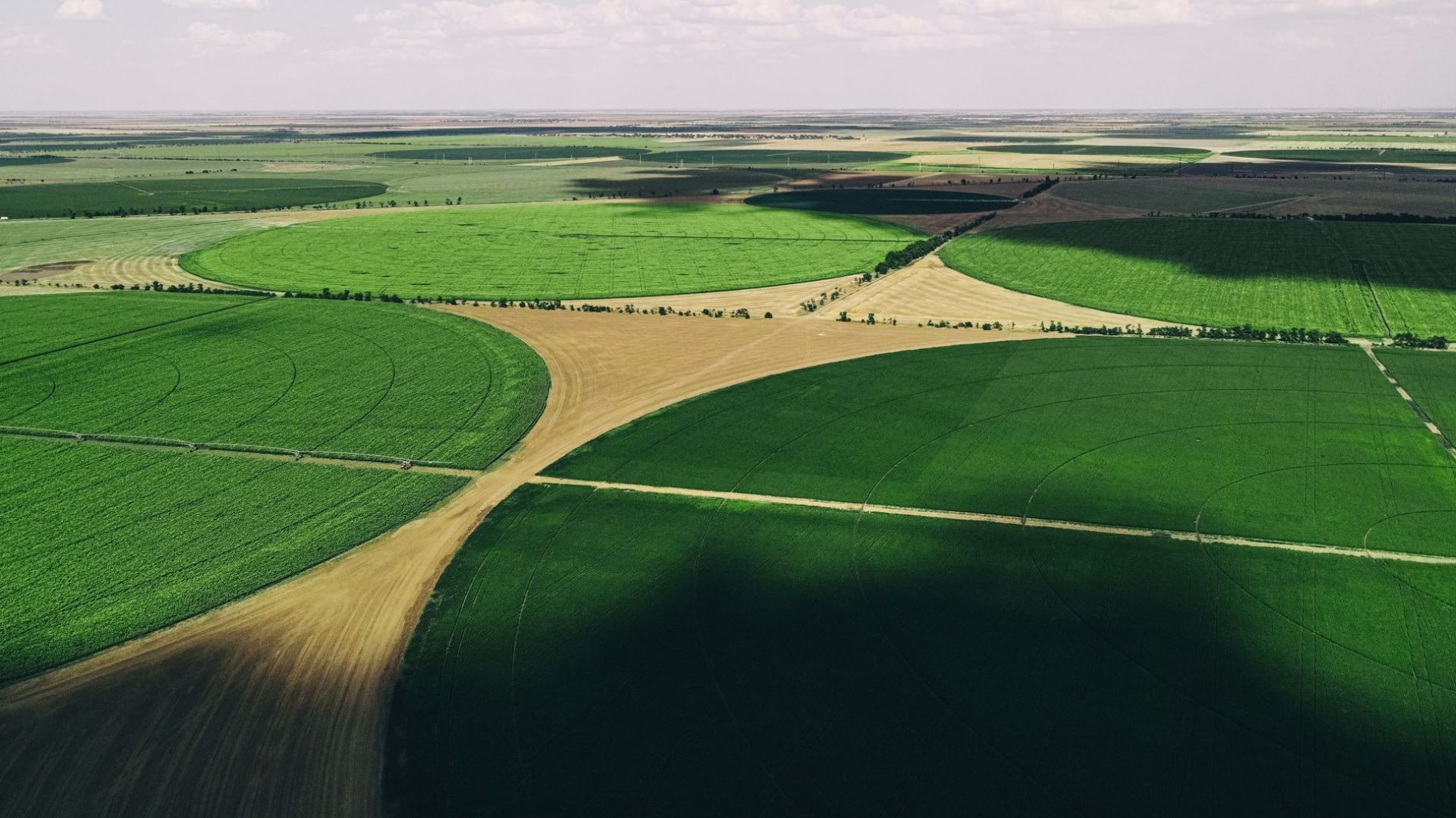 findy-image - pivot field