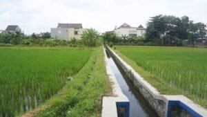 Irrigation canal through farmland