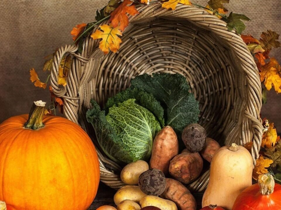 findy-image-pumpkins